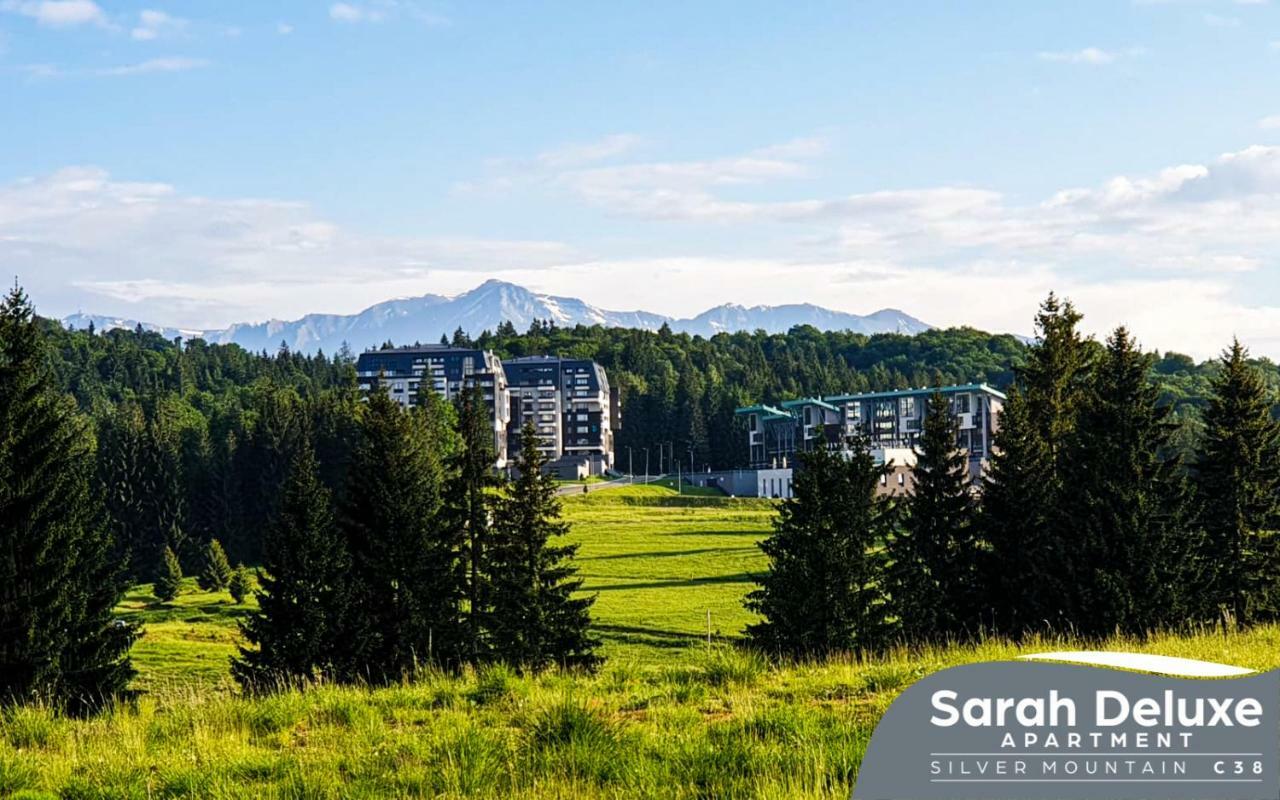 Sarah Deluxe Apartment In Silver Mountain Poiana Brasov Εξωτερικό φωτογραφία